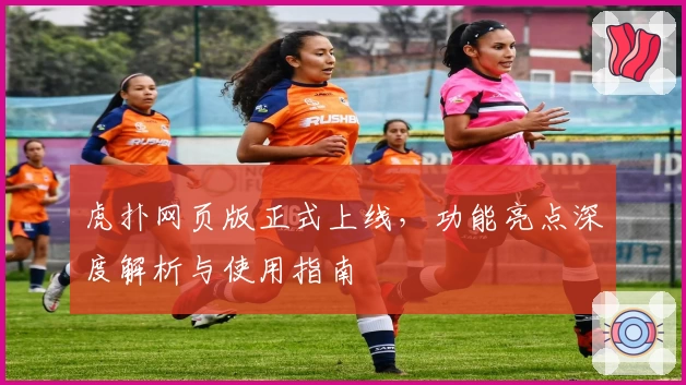 虎扑网页版正式上线，功能亮点深度解析与使用指南