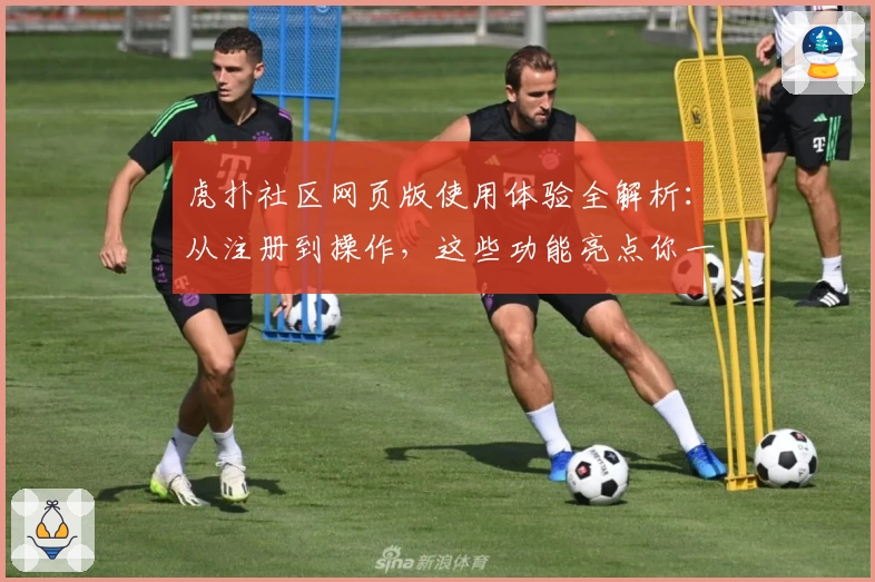 虎扑社区网页版使用体验全解析：从注册到操作，这些功能亮点你一定要了解