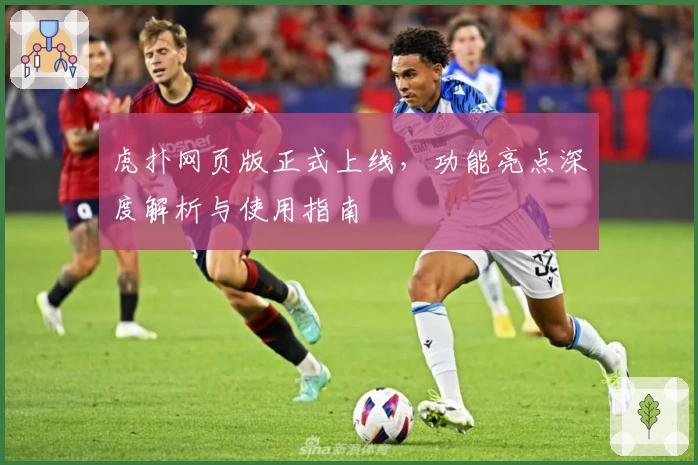 虎扑网页版正式上线,功能亮点深度解析与使用指南