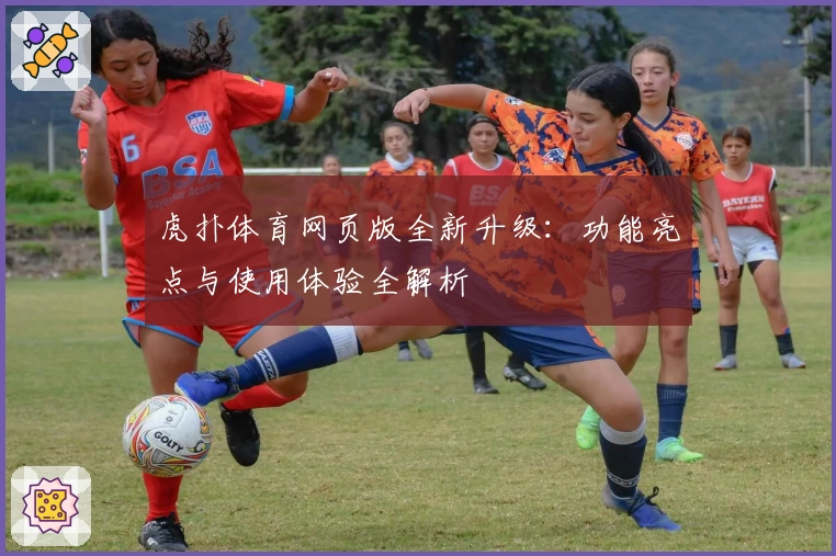 虎扑体育网页版全新升级：功能亮点与使用体验全解析