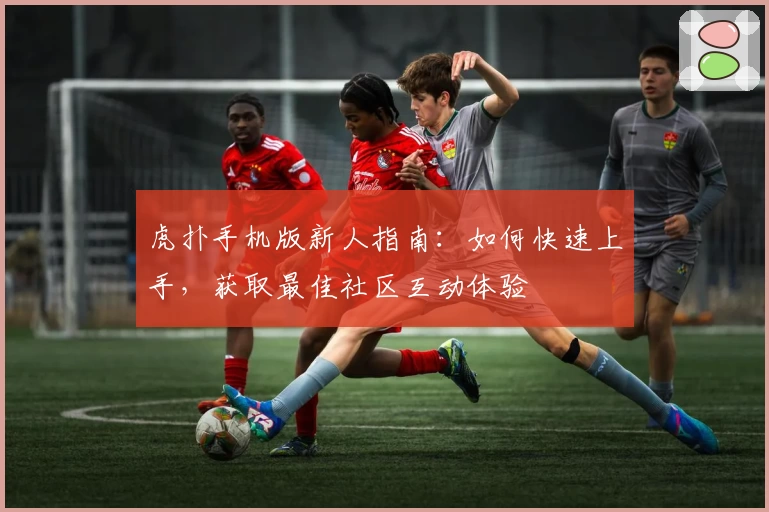 虎扑手机版新人指南：如何快速上手，获取最佳社区互动体验